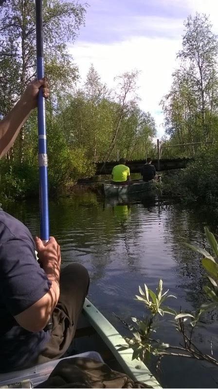Luppokumpu Villa Kuivasalmi Eksteriør billede